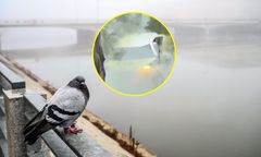 Niecodzienny wypadek we Wrocławiu. Auto zanurkowało w fosie