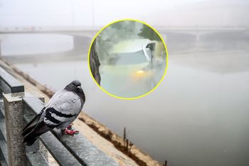 Niecodzienny wypadek we Wrocławiu. Auto zanurkowało w fosie