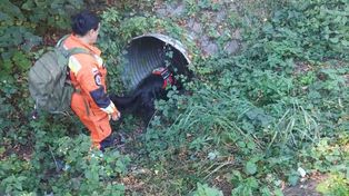 Sulechów: Wielkie poszukiwania. W akcji policja i strażacy. Zaginął 75-latek, liczy się każda minuta