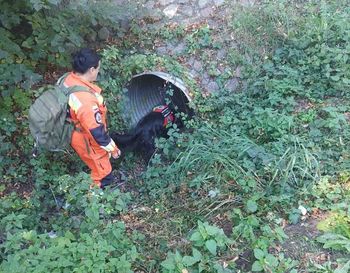 Sulechów: Wielkie poszukiwania. W akcji policja i strażacy. Zaginął 75-latek, liczy się każda minuta