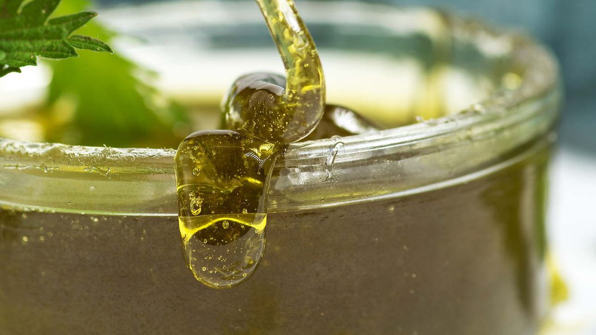 Słodki tandem dla serca, ogromne wsparcie dla sercowców