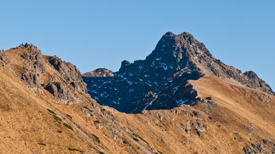 Świnica 