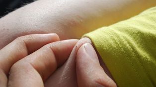 Jest niemal niewidoczna. Może przenosić boreliozę