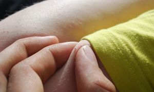 Jest niemal niewidoczna. Może przenosić boreliozę