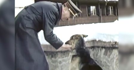 Hitler kochał zwierzęta