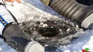 Twoja bałałajka jest nielegalna. Absurd długości 30 cm