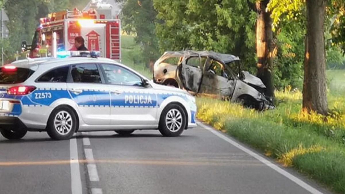 Służby i spalony osobowy Ford