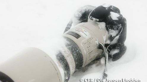 Czy Canon 7D przetrwa trudny test na Antarktykce? 1