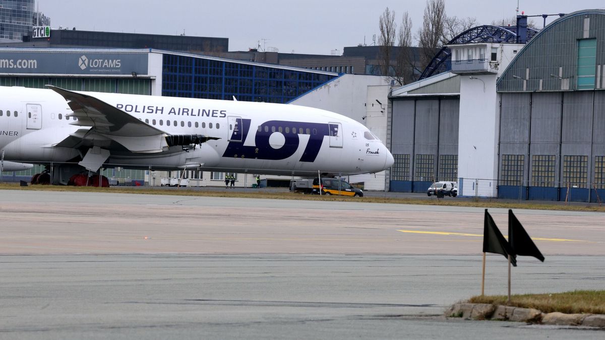 Senatorowie lubią samoloty. Ich podróże kosztowały już