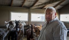 49 tys. widzów nowego programu „Złoty interes”. Zoom TV myśli o kontynuacji cyklu