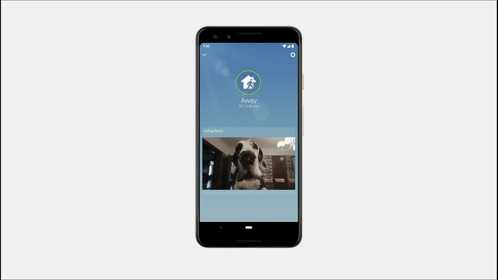Aplikacja Nest z monitoringiem domu