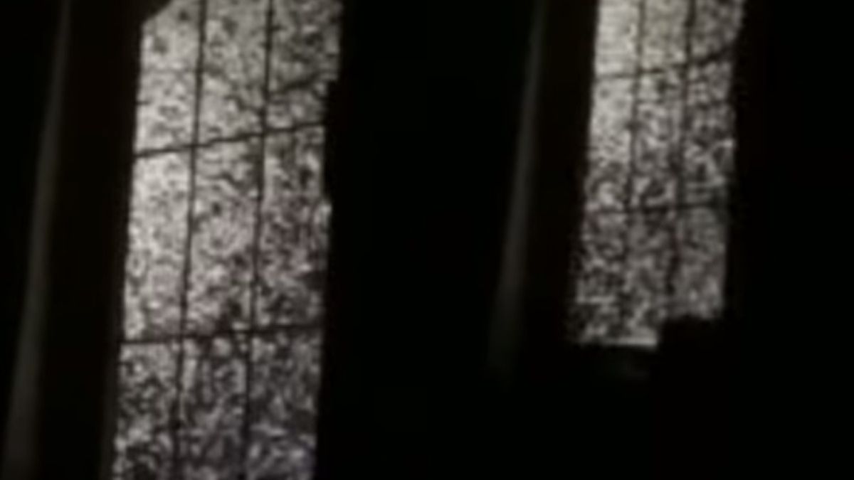 Rój owadów zaatakował Nottinghamshire. 