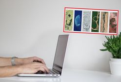 Dzień Ziemi 2024. Google przygotowało okolicznościową grafikę