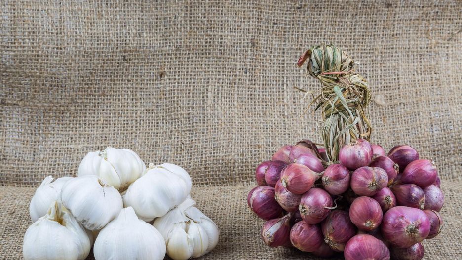 Co się stanie, kiedy umieścisz na noc gazik nasączony wywarem z cebuli i czosnku na stopie? (WIDEO)