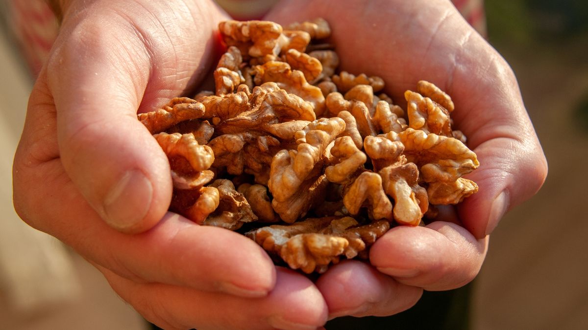 Jedz nawet 7 orzechów włoskich dziennie