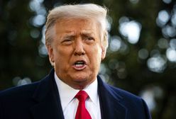 "Populiści bez Trumpa". Niemiecka prasa o Polsce