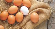 Zwracasz uwagę na kolor jajek? Ten fakt mocno cię zaskoczy