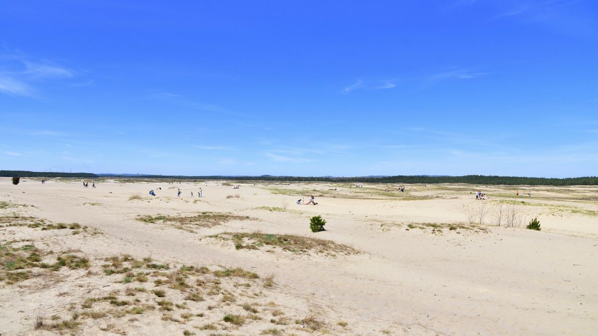 Pustynia Błędowska. Zasoby słodkiej wody w Polsce, są niemal trzy razy mniejsze niż średnia UE. 