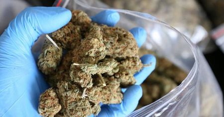 Lublin: Marihuana w hotelu pracowniczym na Sławinie. Zatrzymano trzy osoby
