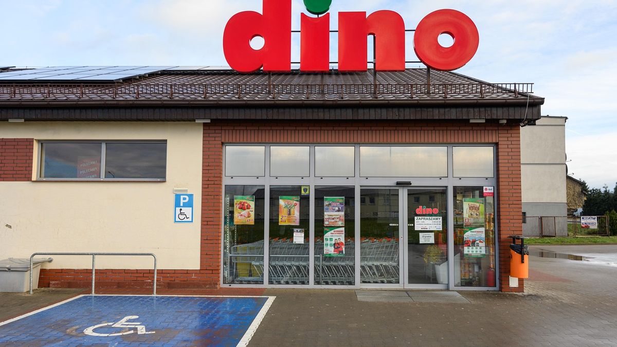 Promocje w Dino obowiązują do 25 listopada.