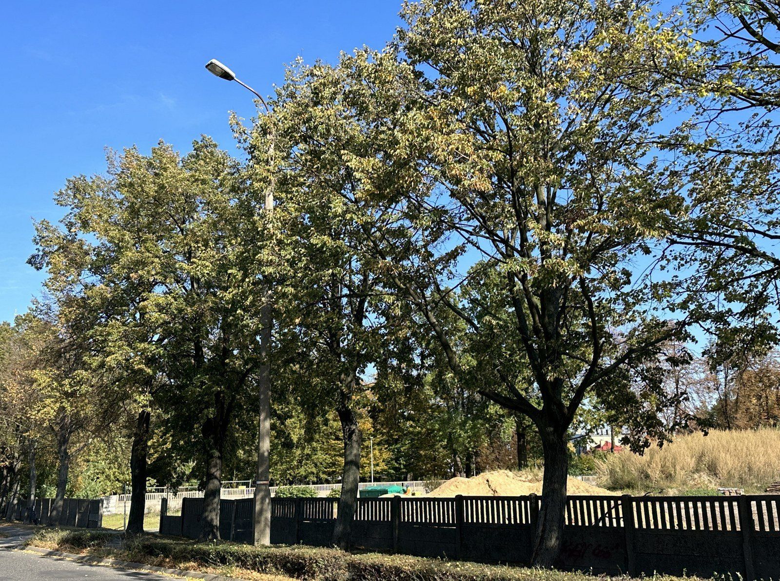 Ulice Norwida i Obrońców Lwowa w Lesznie
