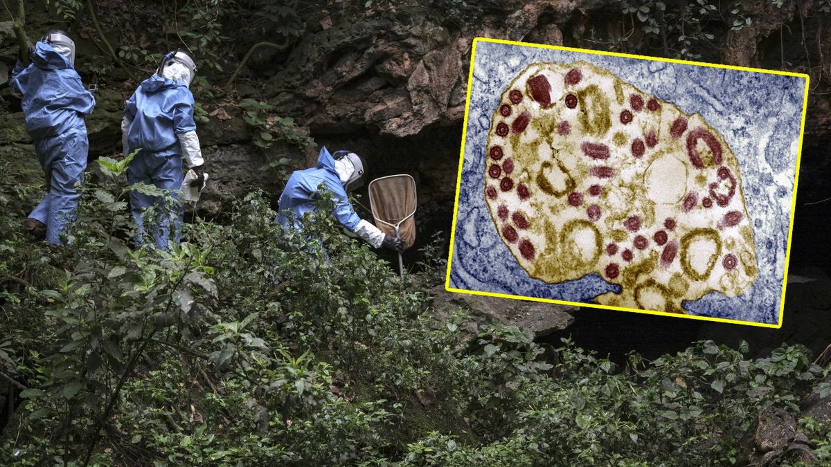 Naukowcy prowadzący badania nad wirusem Marburg w Ugandzie