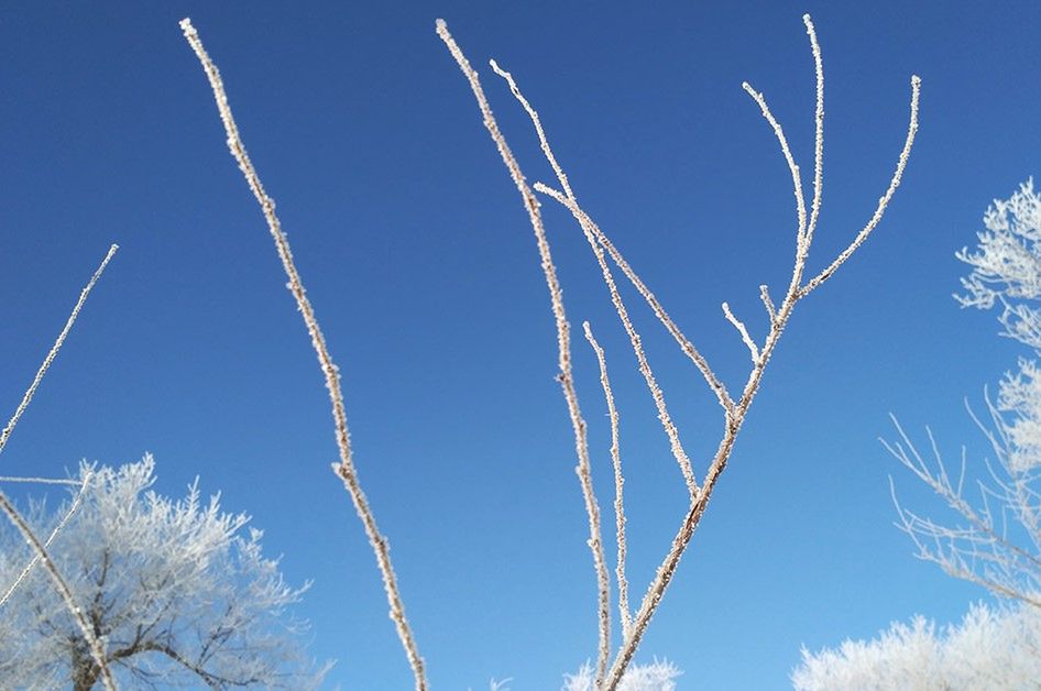 Xiaomi Redmi 3 oficjalnie. To się nazywa dobry stosunek ceny do jakości! 7