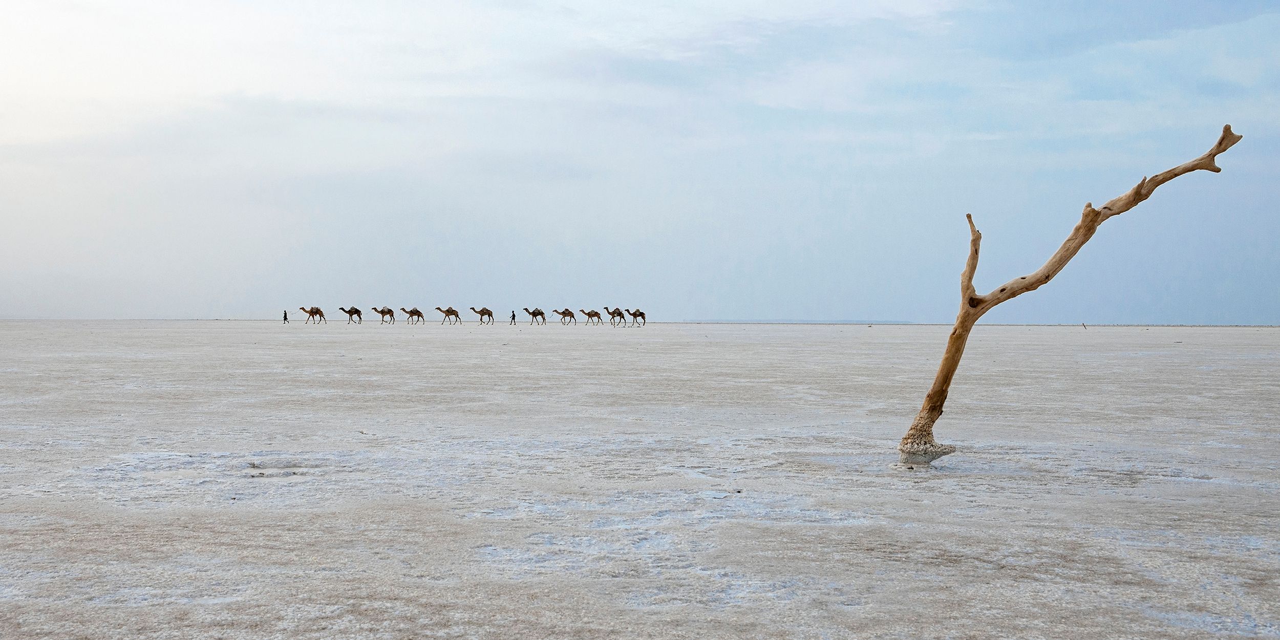 Sony World Photography Awards 2018 - pierwsze zgłoszenia pokazują potencjał konkursu 11