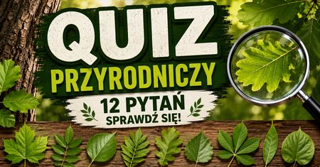 QUIZ PRZYRODNICZY: Rozpoznasz drzewo po liściu lub owocu?