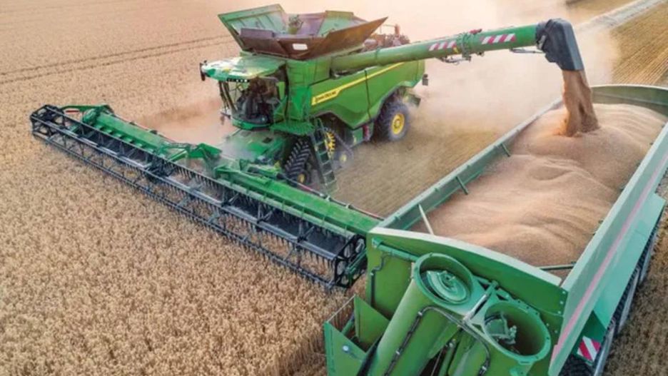 FAO prognozuje rekordową produkcję zbóż w sezonie 2025/26. Co na