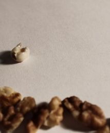 Zamiast orzecha... ludzki ząb