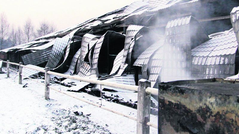 Z nowej ujeżdżalni w stadninie koni w Korzkwi niewiele zostało. Tylko dymiące zgliszcza i sadza, które przysypał śnieg