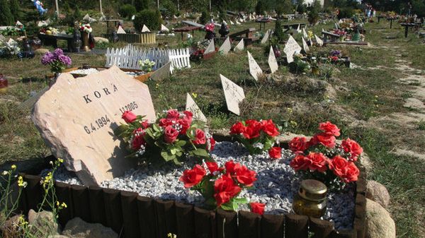 W Łodzi działa prywatne grzebowisko dla zwierząt "Cerber" o powierzchni 3 hektarów