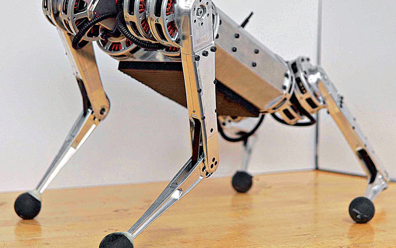 Robot Mini Cheetah 