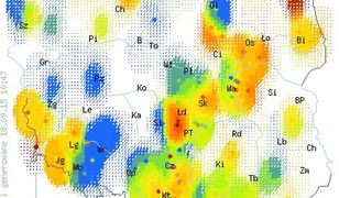 Gdzie na grzyby? Oto grzybowa mapa Polski