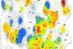Gdzie na grzyby? Oto grzybowa mapa Polski