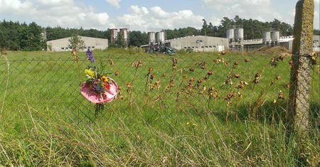 Koniec hańby po kilkudziesięciu latach. Farma świń zniknie z terenu byłego obozu koncentracyjnego