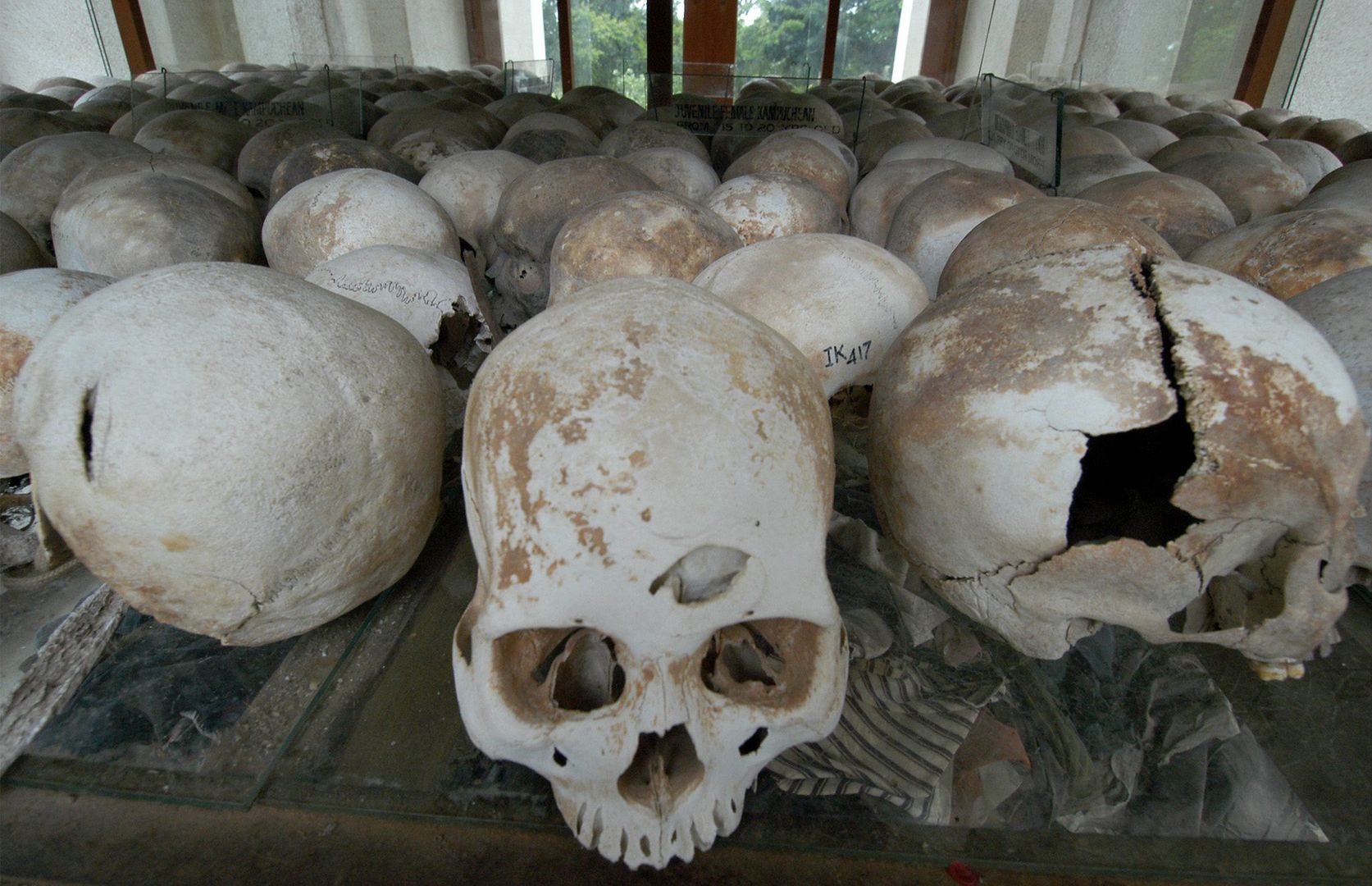 Czaszki ofiar ludobójstwa w Kambodży