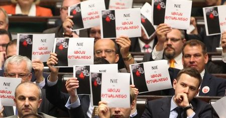 Mularczyk w sprawie uboju rytualnego: likwiduje się miejsca pracy