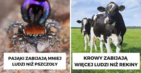 20 zwierząt-zabójców. To one najczęściej doprowadzają do śmierci ludzi
