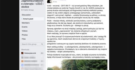 Myśleli, że porzuciła psa. I ośmieszyli ją w internecie