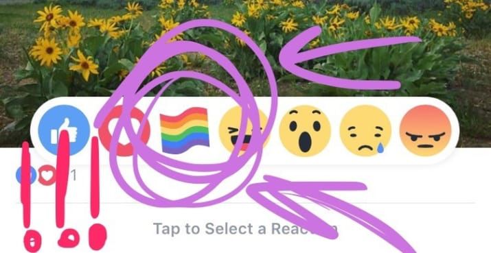 Miliony osób mogą w nowy sposób okazywać dumę na Facebooku