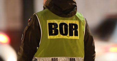 BOR do likwidacji. Powstanie Służba Ochrony Państwa