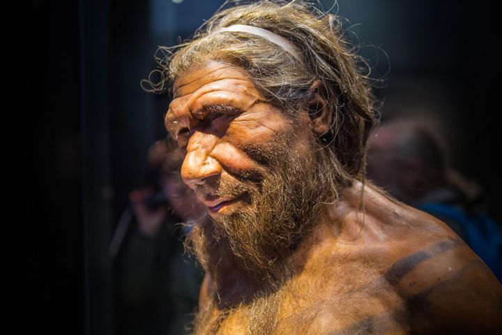 Fugura woskowa neandertalczyka 