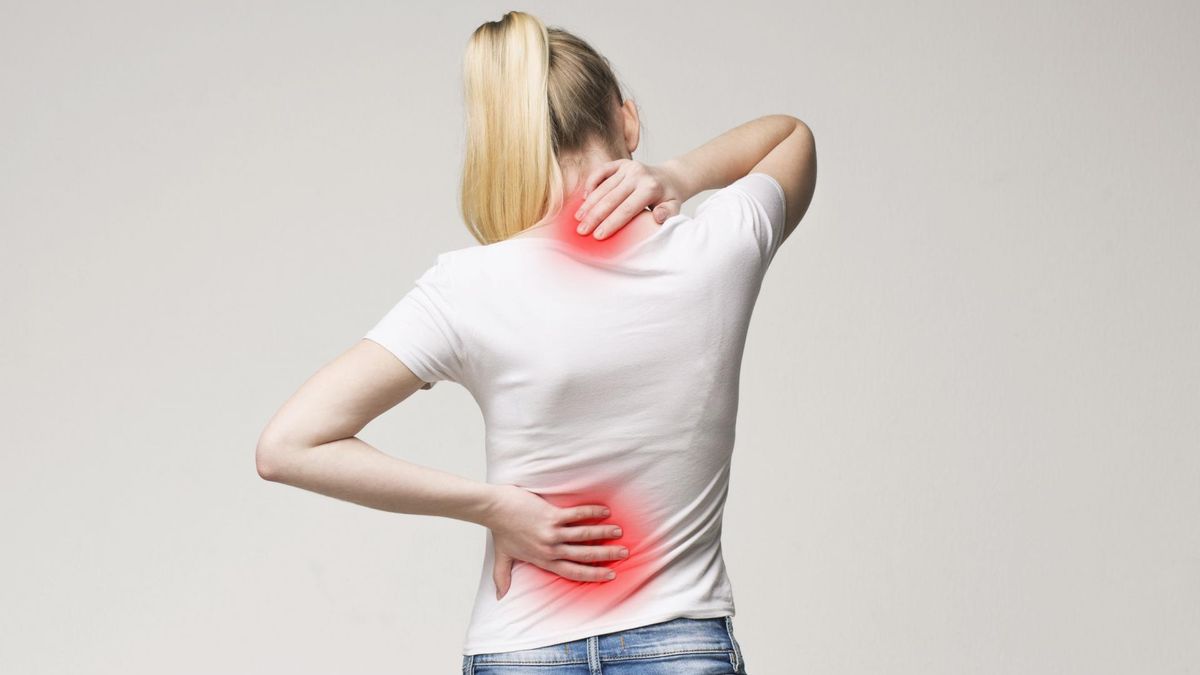 Rdzeń kręgowy - budowa, funkcje, choroby kręgosłupa