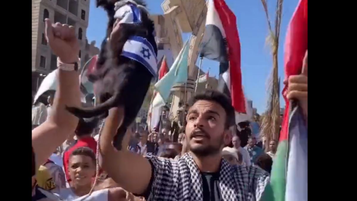 Protestujący przeciw wojnie w Strefie Gazy znęcali się nad małym pieskiem