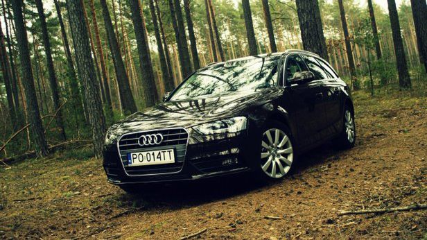 Zdjęcie ilustracyjne do artykułu