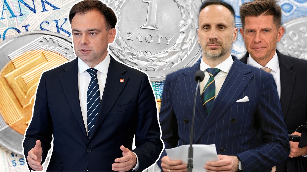 Rząd liczy, że Senat odkręci  zmiany jakie do ustaw podatkowych wprowadził Sejm poprawkami Ryszarda Petru i Janusza Kowalskiego 