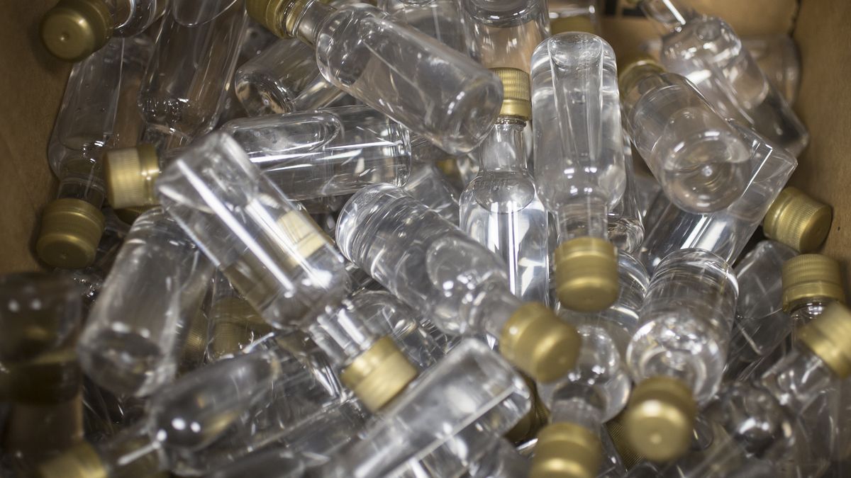 Małpki wejdą do systemu kaucyjnego? Ministra zapowiada