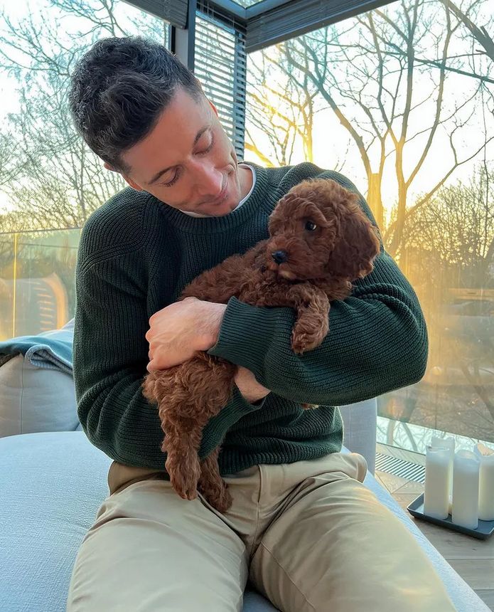 Anna i Robert Lewandowski pokazują nowego członka rodziny - to suczka Bella